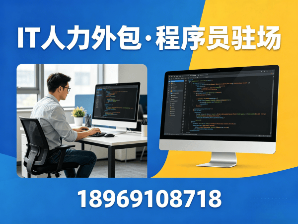 北京IT人力外包解决方案：Go开发程序员驻场服务助力企业高效用人