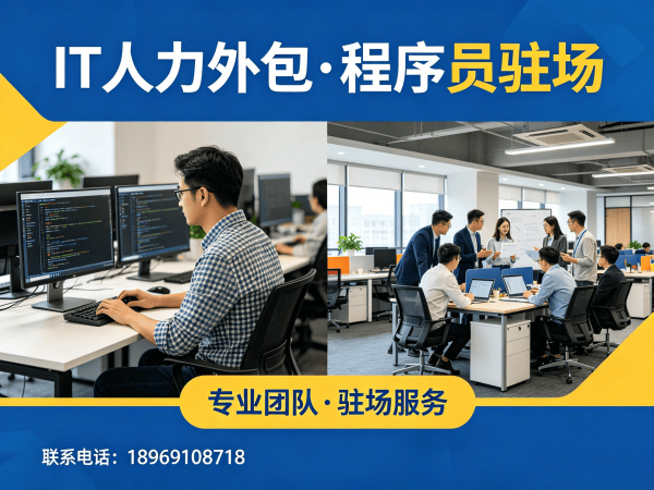 武汉IT人力外包解决方案:数据标注工程师程序员外包助力企业高效发展