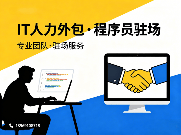南京IT人力外包解决方案：破解大数据开发人才缺口难题