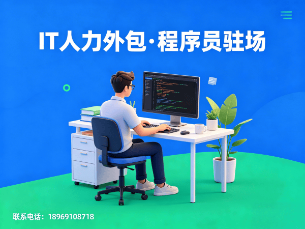 武汉IT人力外包解决方案：Python开发程序员驻场开发快速响应服务